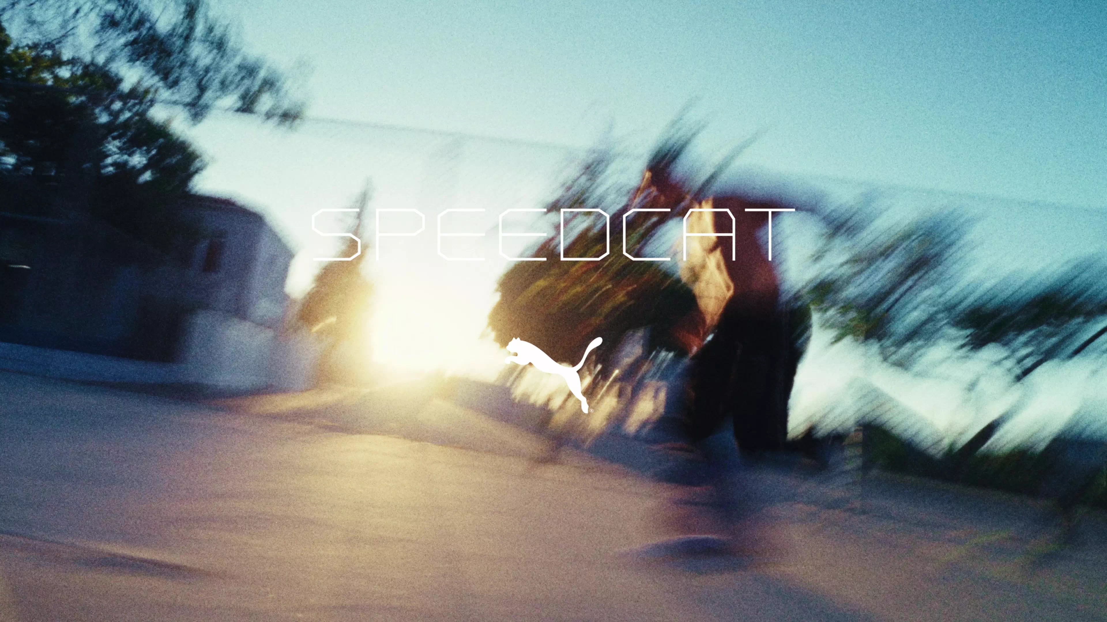 SPEEDCAT ARCHIVE｜BILLY'S ENT 公式通販