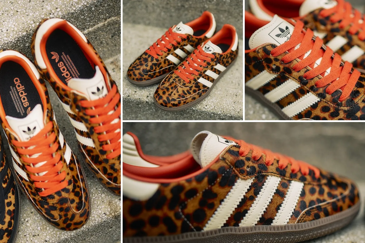 SAMBA LEOPARD