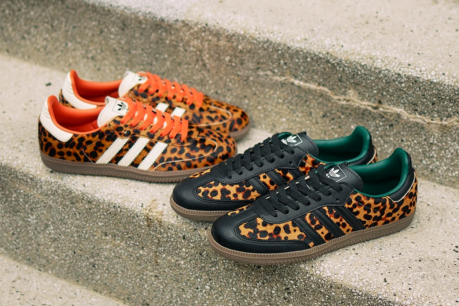 SAMBA CHEETAH