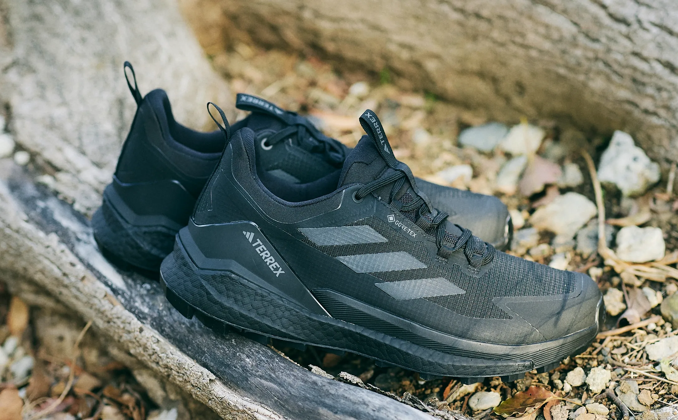 TERREX FREE HIKER 2 LOW GTX