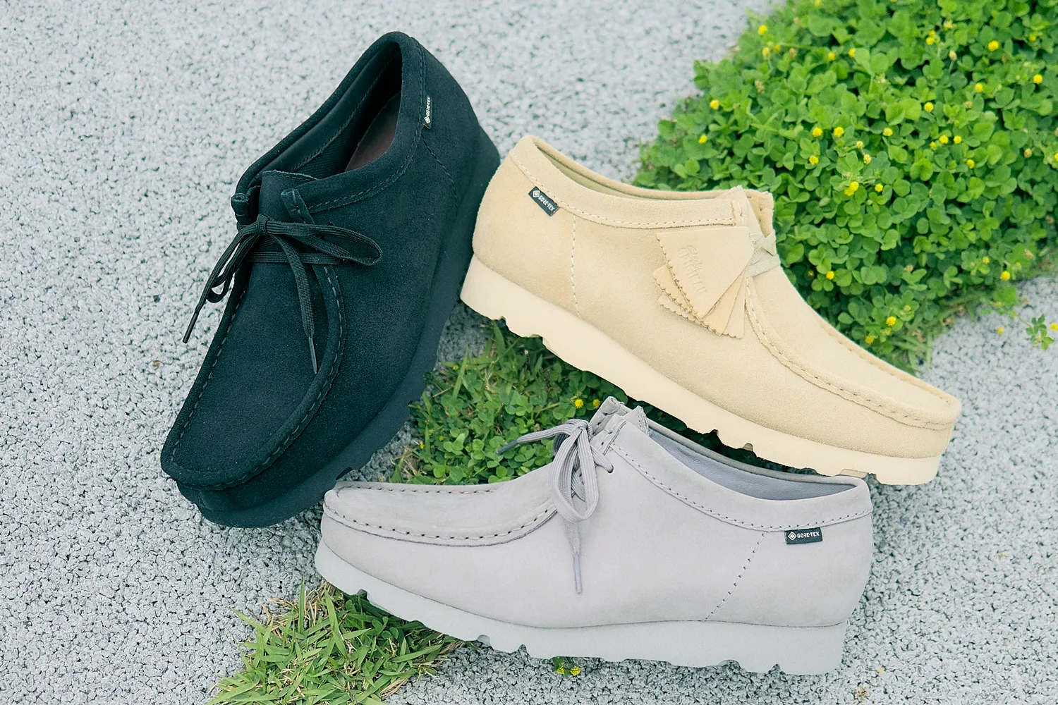 WALLABEE GTX