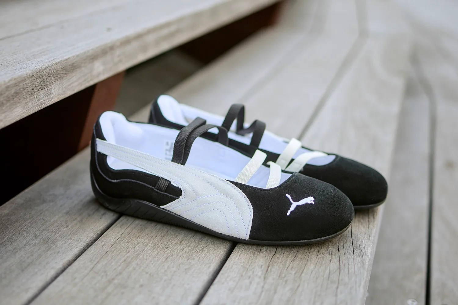 SPEEDCAT BALLET SD WNS