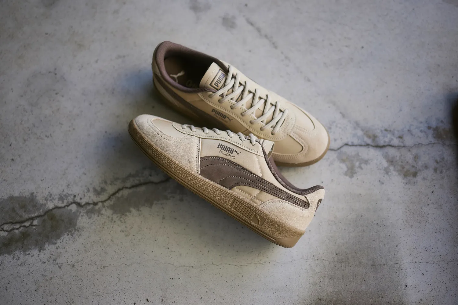 パレルモ PUMA