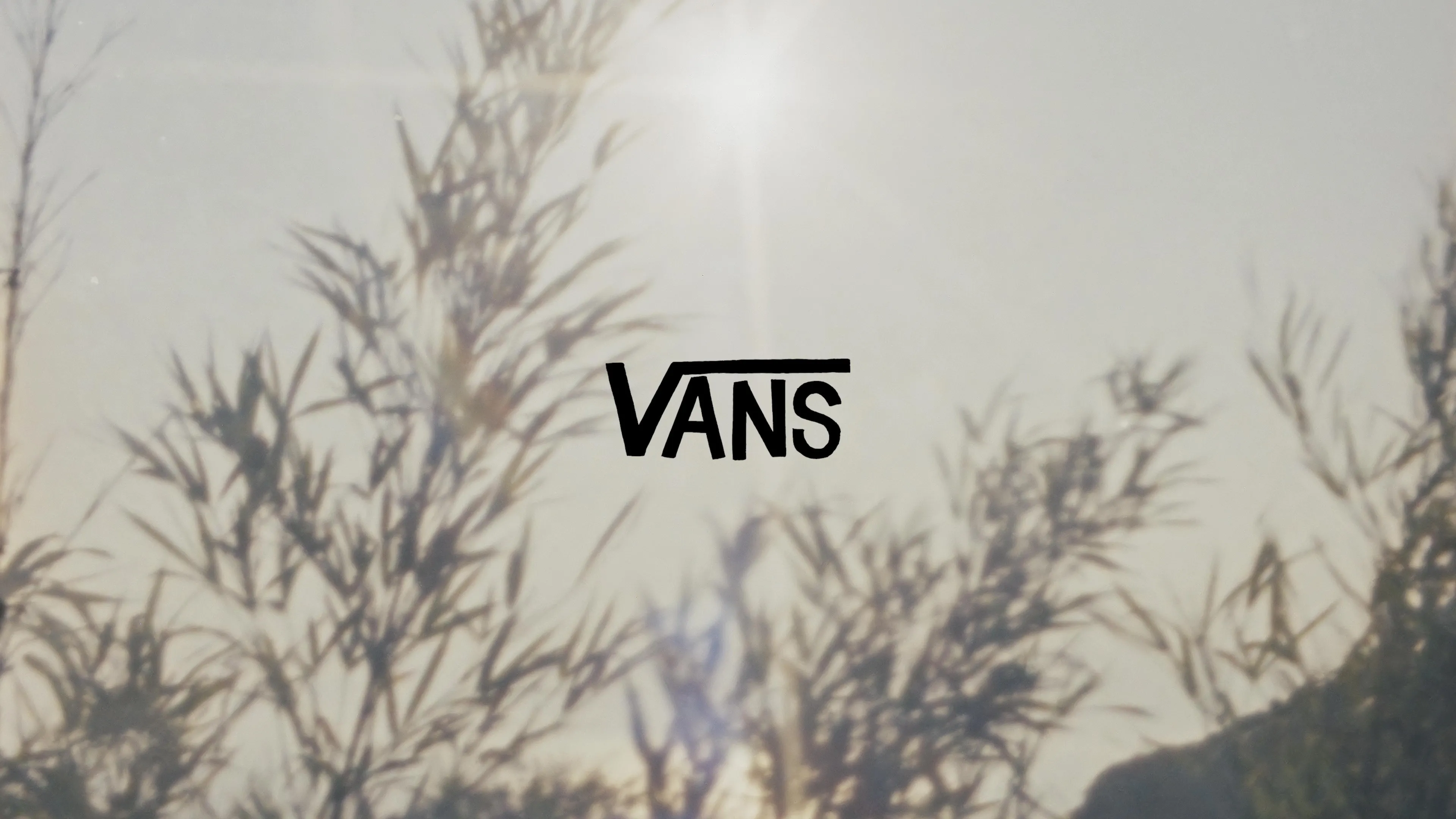 VANS | HANAI YUSUKE 2025FW｜BILLY'S ENT 公式通販