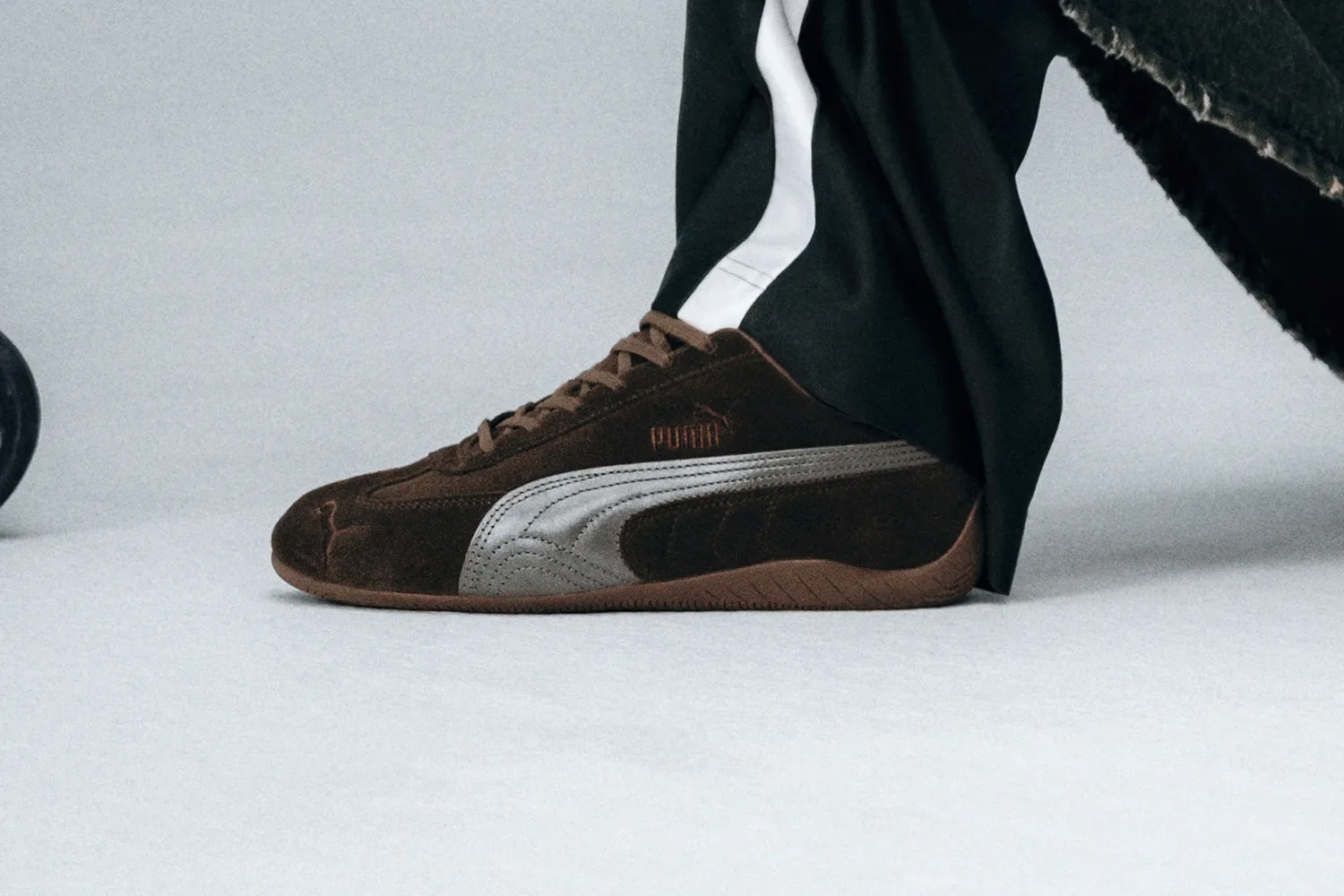 スピードキャット ラックス