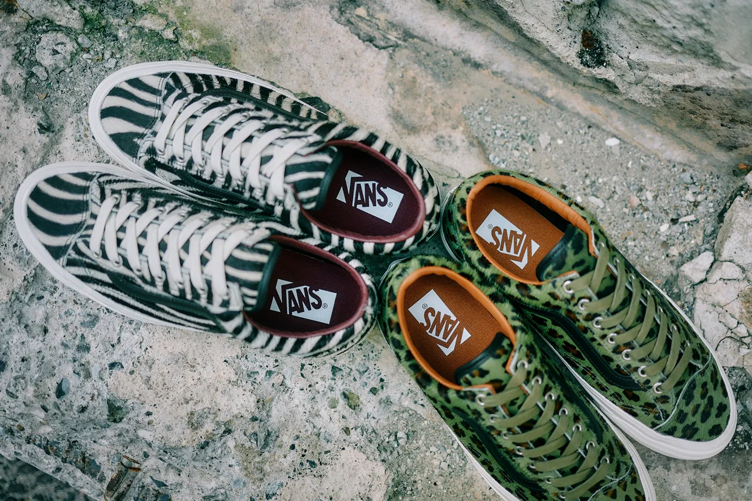 オールドスクール ゼブラ