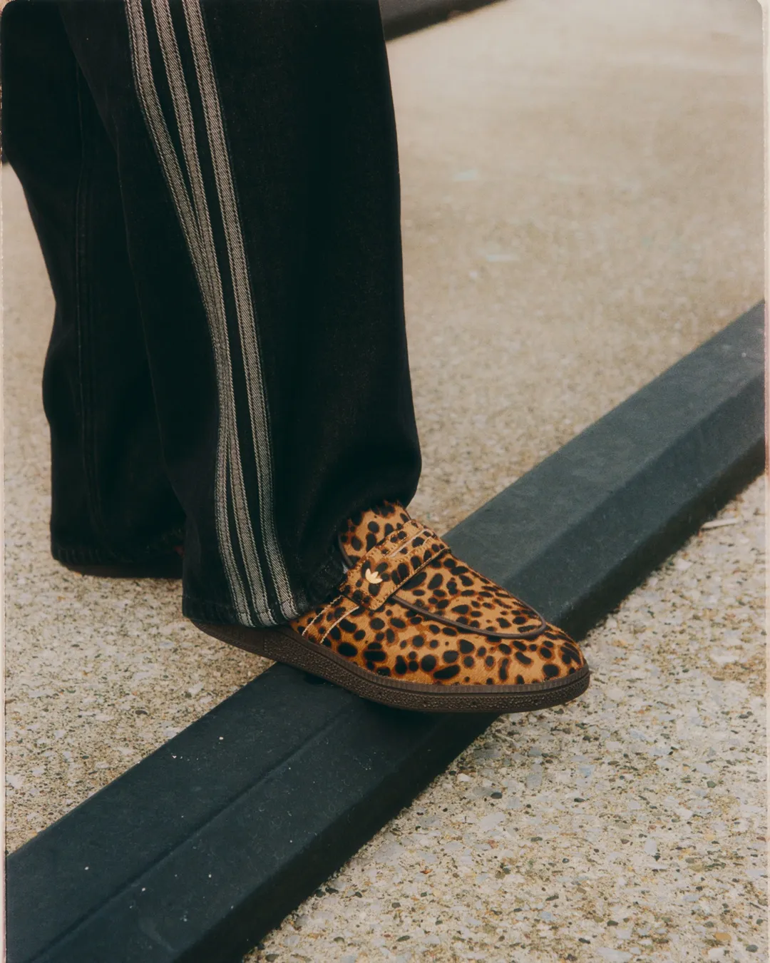 adidas レオパード