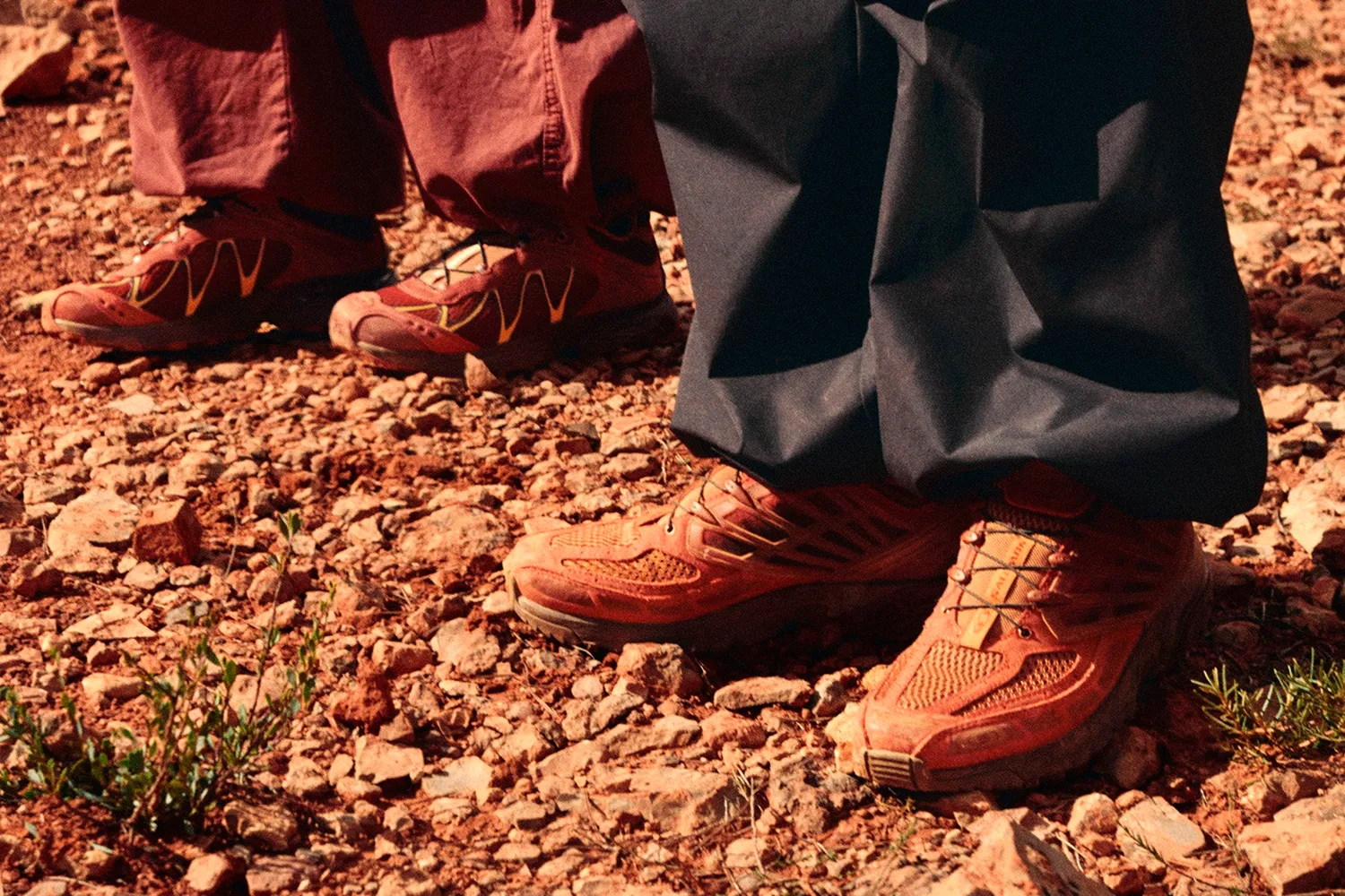 レッド アッシュズ