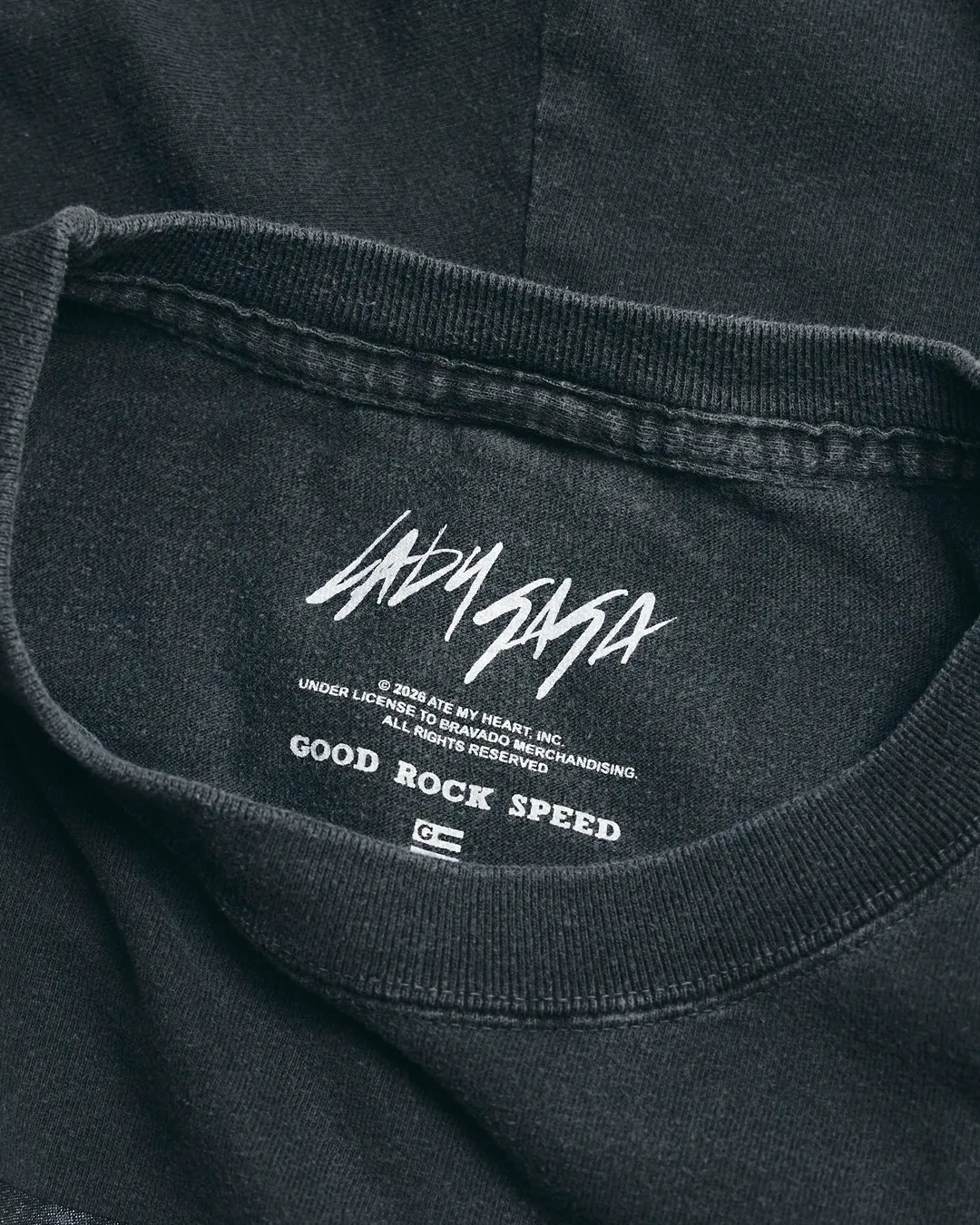 レディー・ガガ フェイム・モンスター