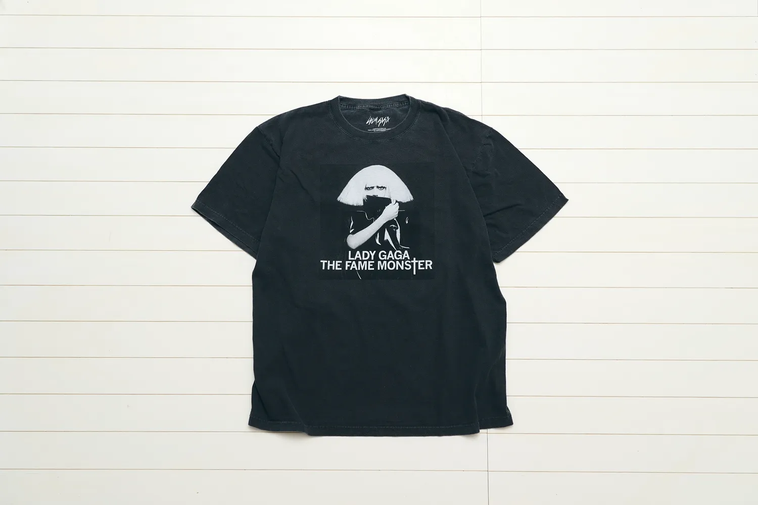 lady gaga FAME MONSTER