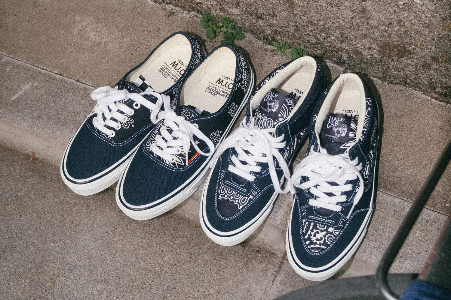 VANS BEDWIN