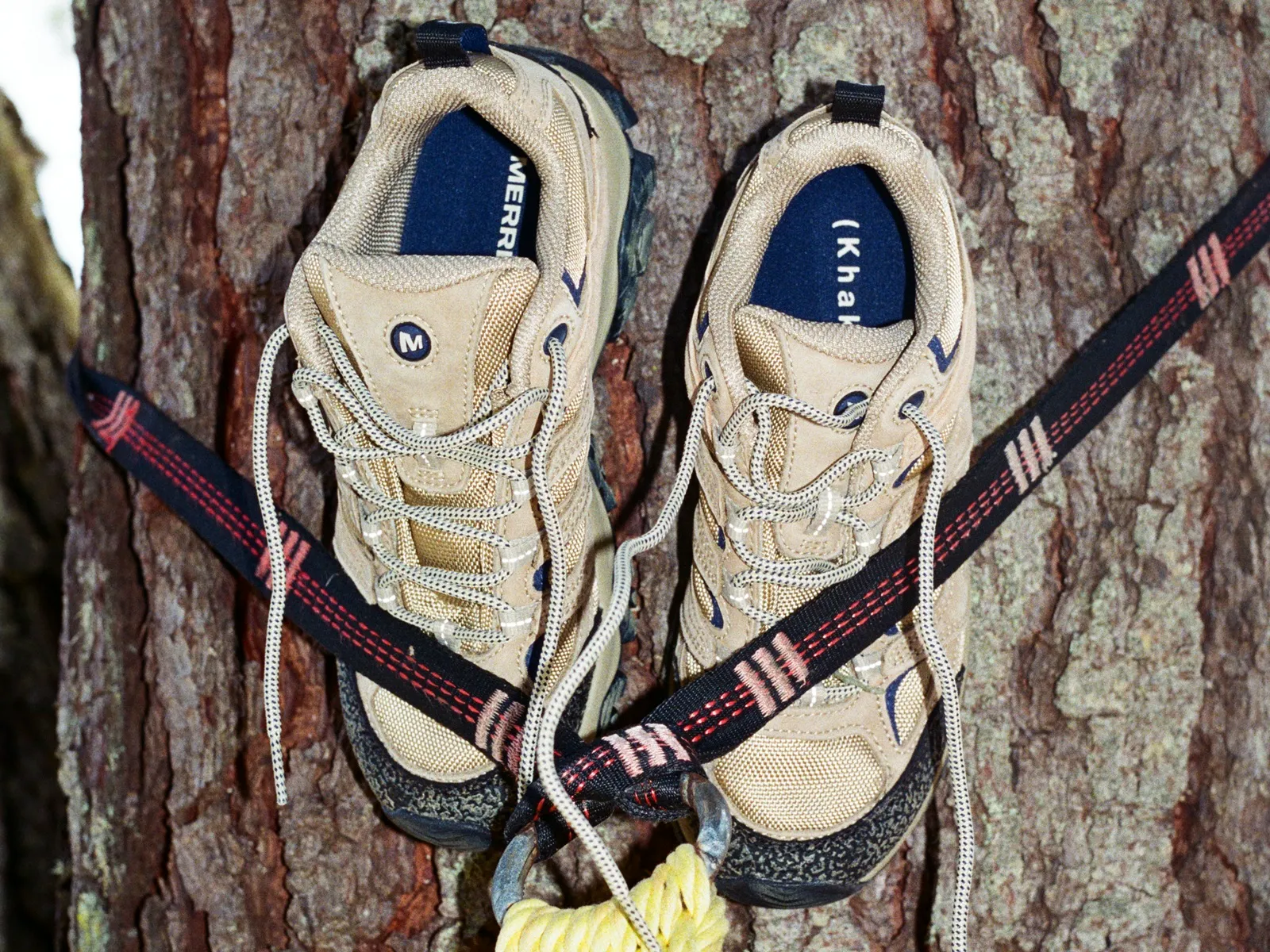 メレル カーキス