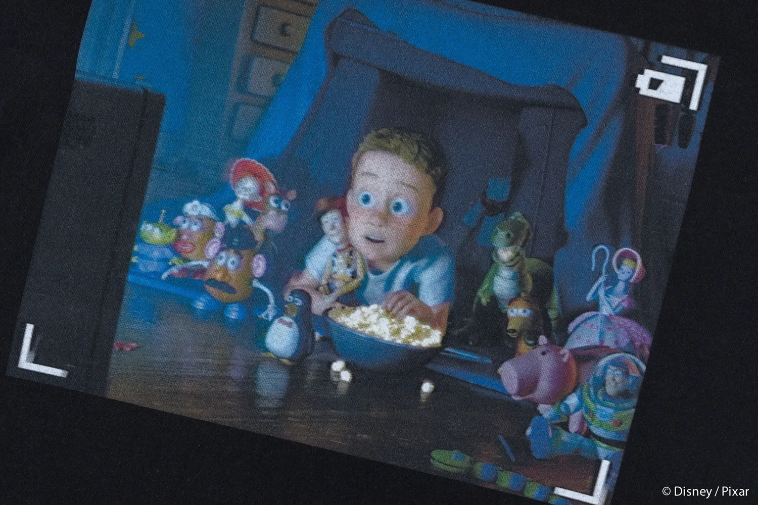 VARIEGATOR TOY STORY Collection