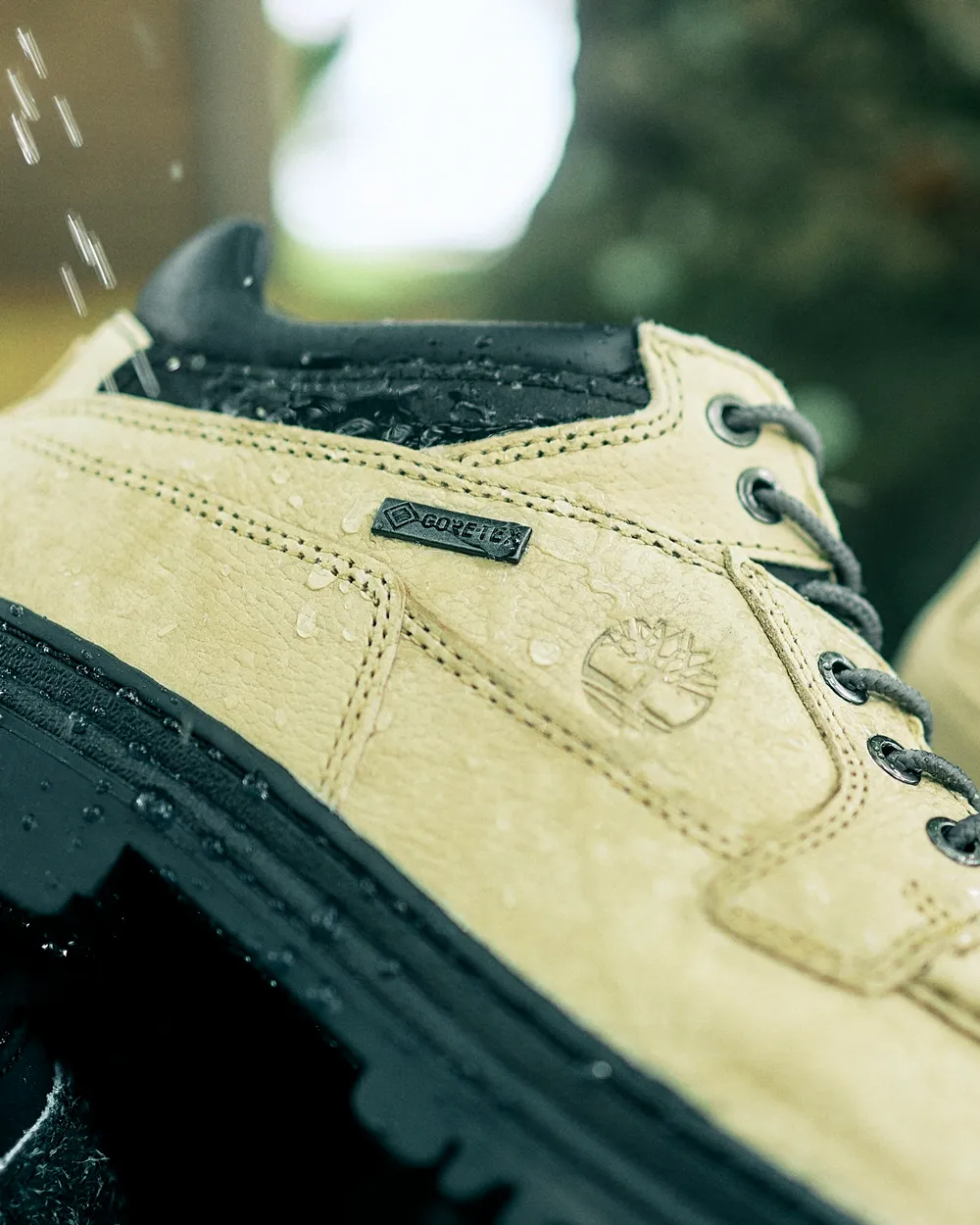 Timberland GORE-TEX