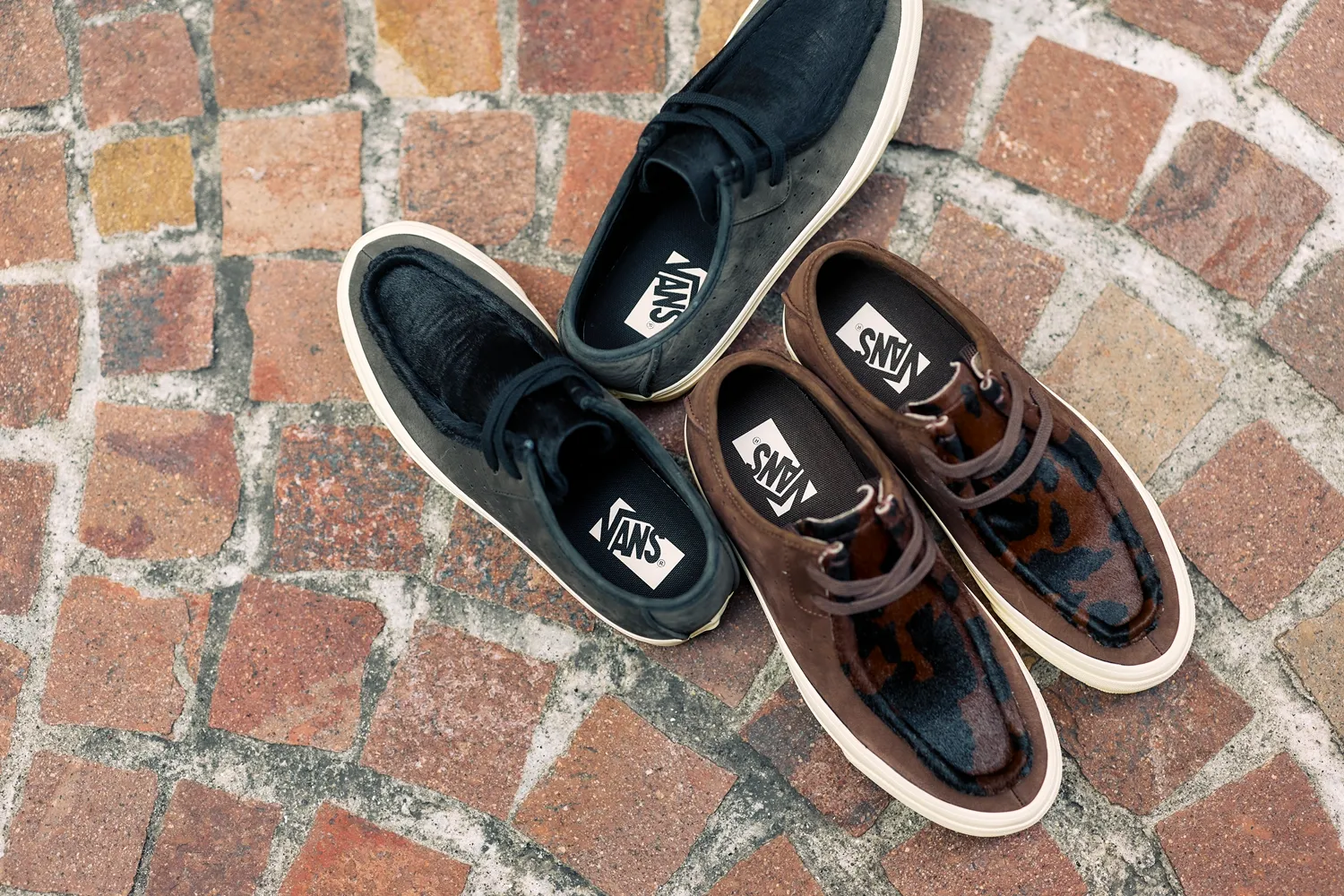 PREMIUM SF MOC LOW