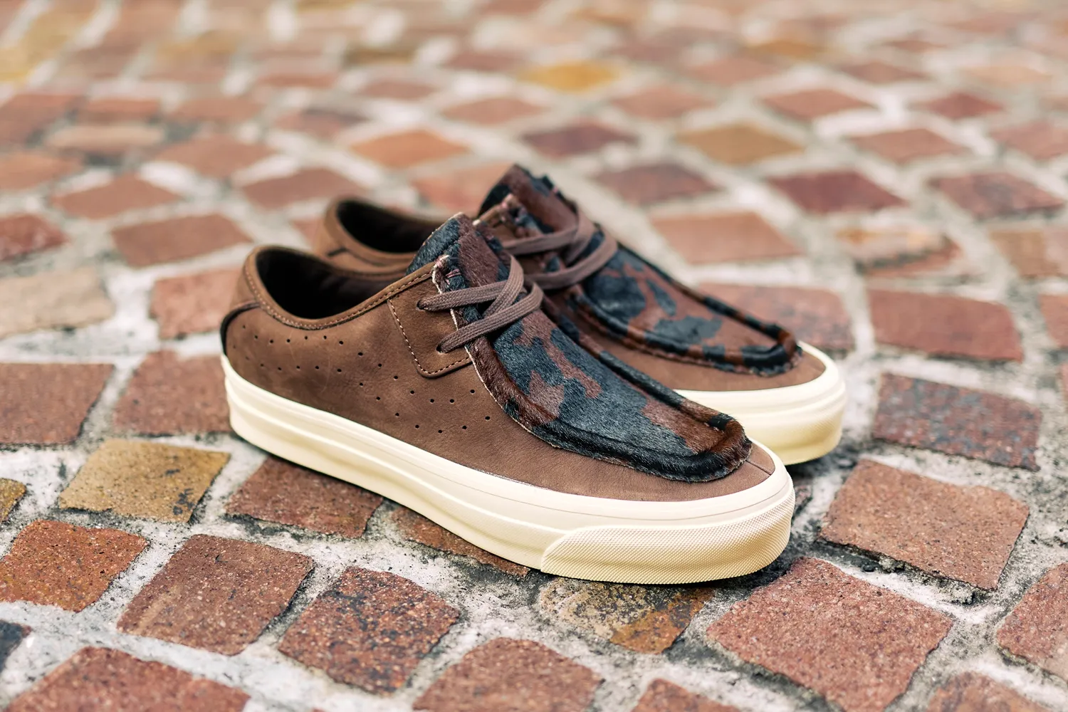 VANS CARVER