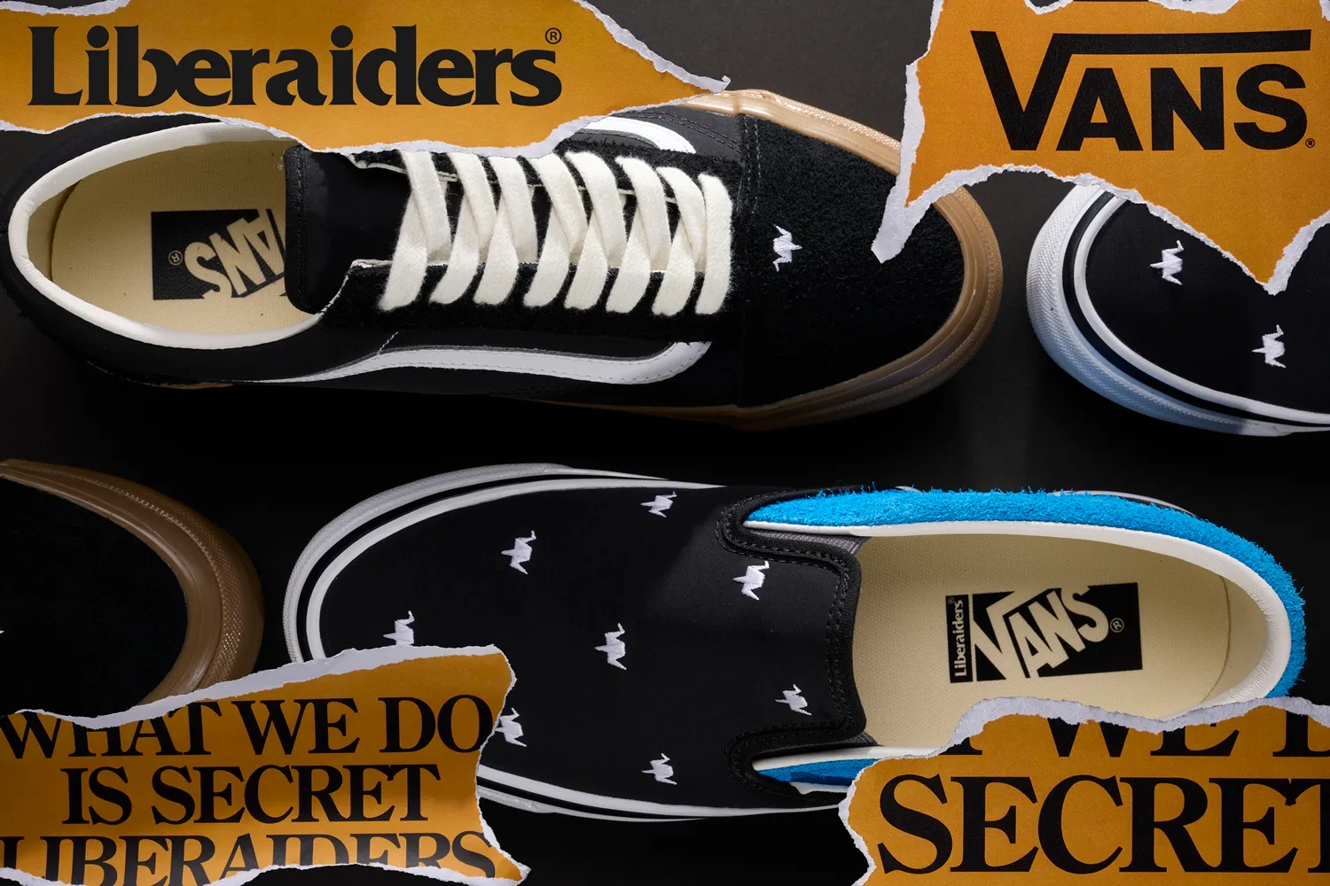 VANS Liberaiders