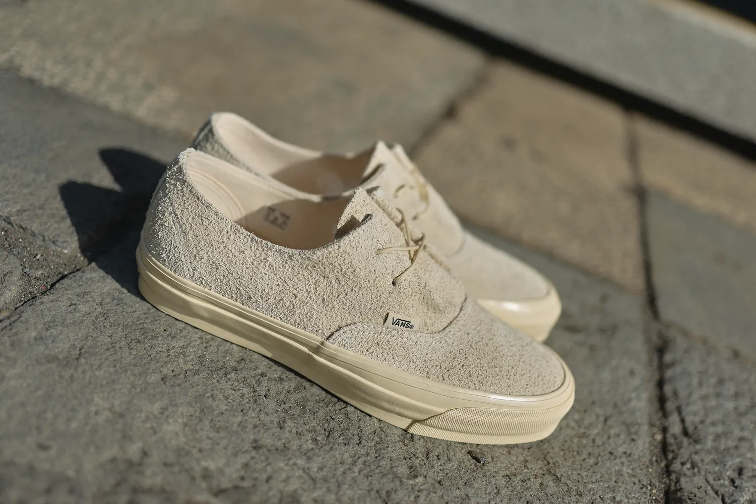VANS オーセンティック