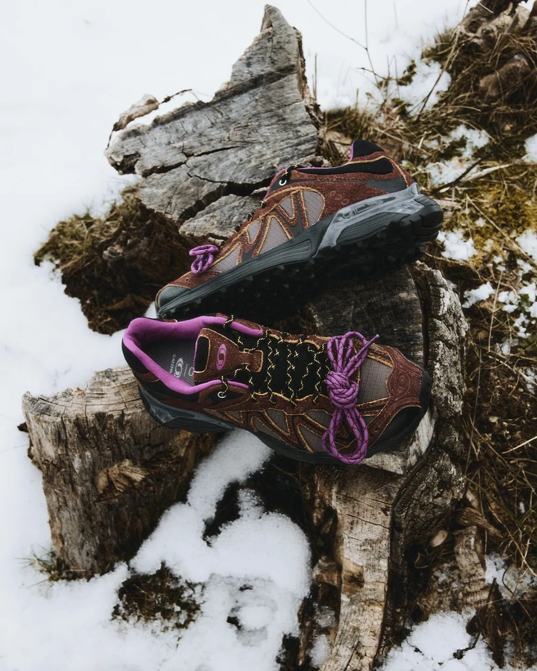 salomon