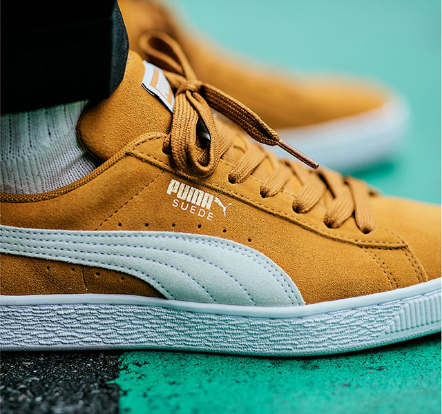 古代ソマチッド 販売終了】 裸族の4 in 1ルーム (CRPR35E4U3IS) ハードディスク