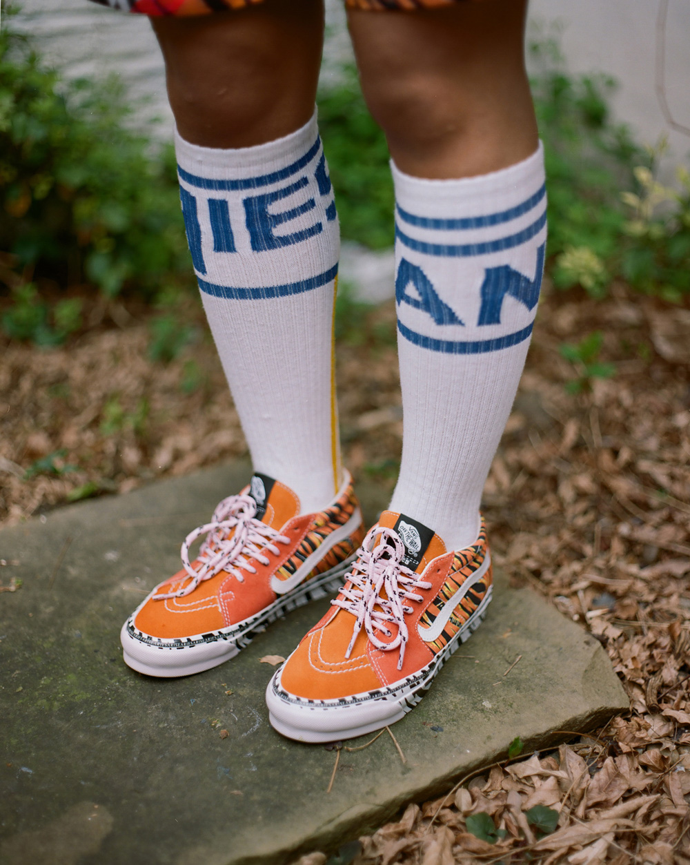 VANS ARIES 