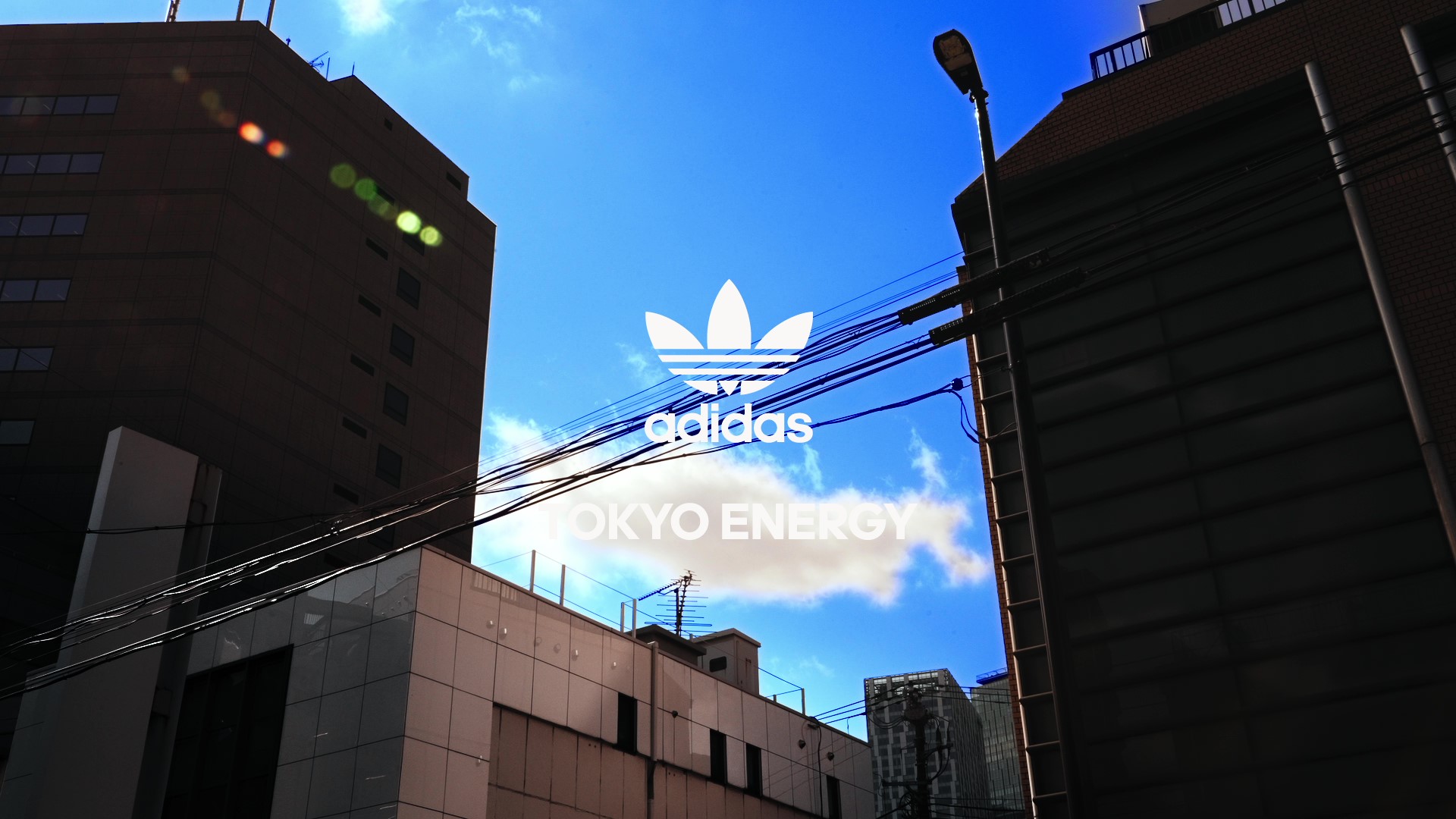 CAMPUS 00s WOK22 | TOKYO ENERGY｜adidas｜BILLY'S ENT 公式通販