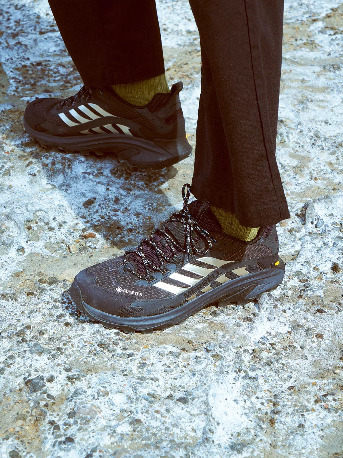 MERRELL｜BILLY'S MOAB SPEED 2 GTX