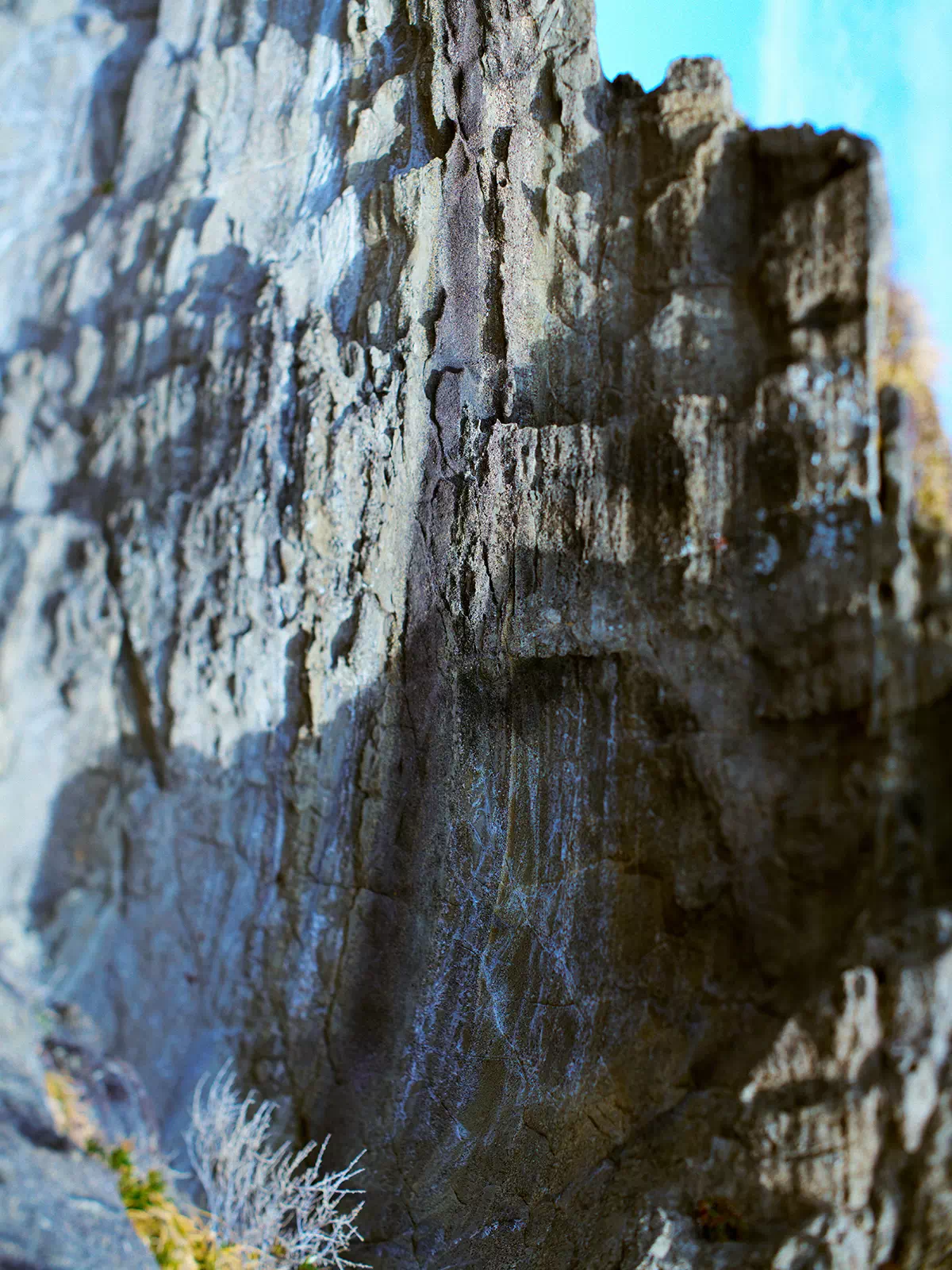 MERRELL｜BILLY'S MOAB SPEED 2 GTX