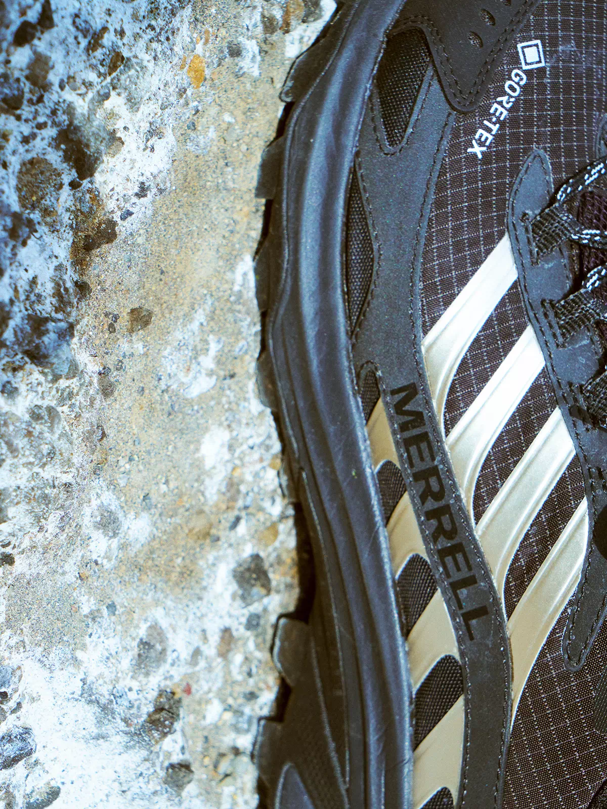 MERRELL｜BILLY'S MOAB SPEED 2 GTX
