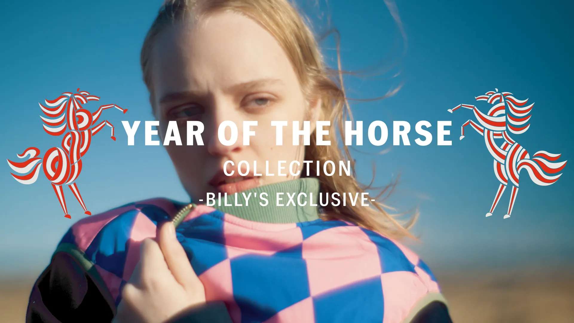 VANS YEAR OF THE HORSE｜EXCLUSIVE｜BILLY'S ENT 公式通販