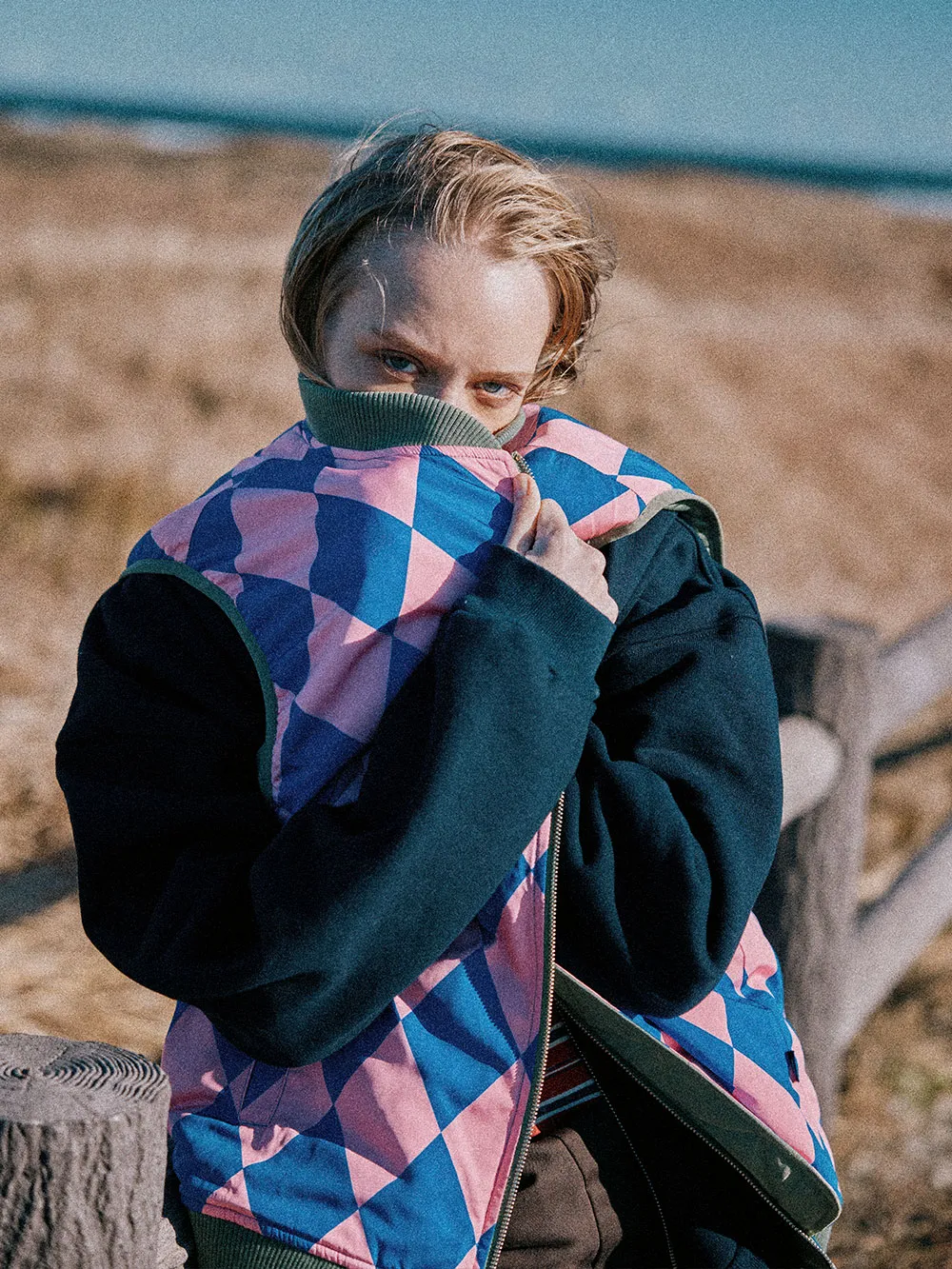 VANS YEAR OF THE HORSE