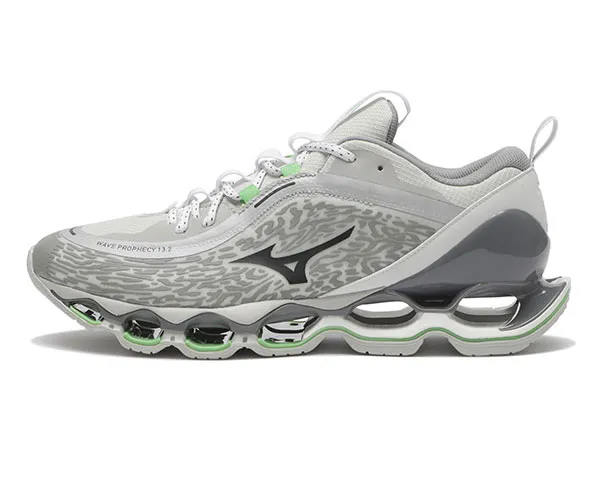 MIZUNO WAVE PROPHECY 13