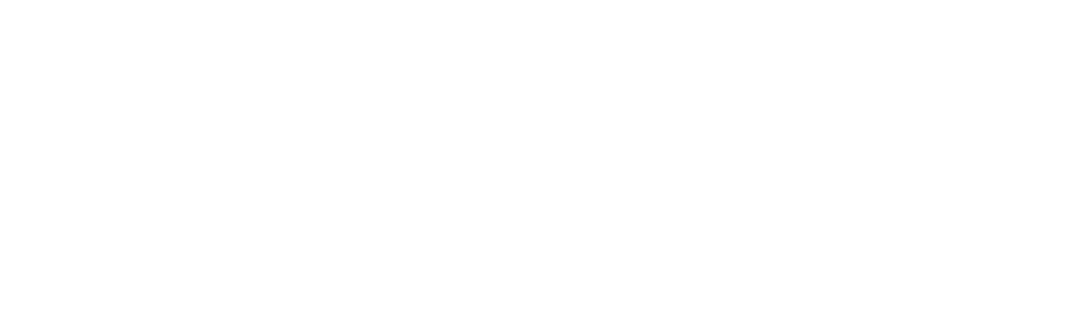 Blundstone BILLY’S ENT